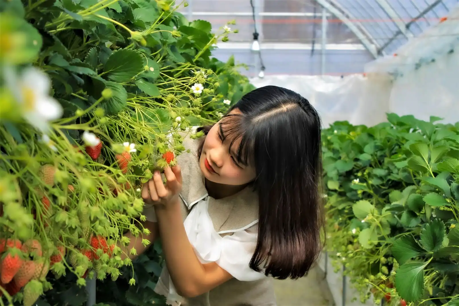 重庆顺工巧精密模具表面处理技术解析：从抛光打磨到喷涂的完整流程