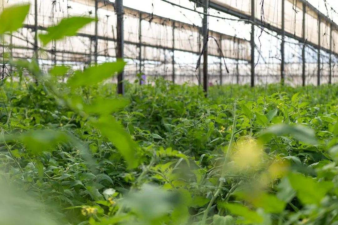 汽摩配件表面处理工艺对比：抛光、电镀与喷涂的选择要点
