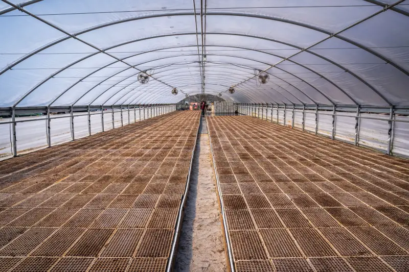 重庆顺工巧精密模具汽摩配件电镀喷涂表面处理工艺解析